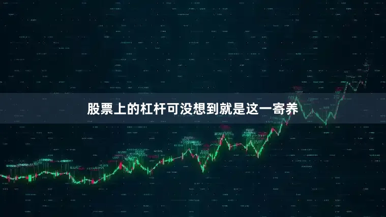 股票上的杠杆可没想到就是这一寄养