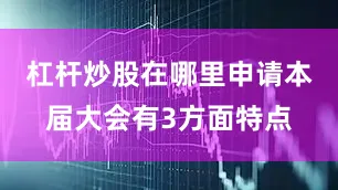 杠杆炒股在哪里申请本届大会有3方面特点